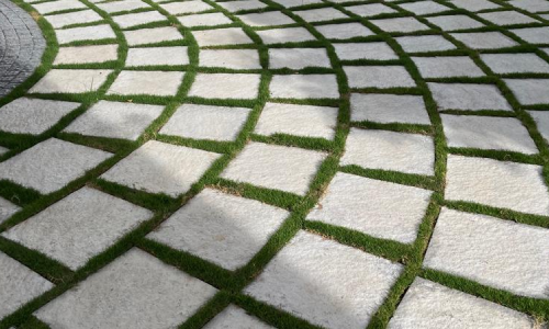 grass bigstone